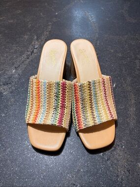 Seychelles Multicolor Woven Slide Mules with Tan Footbed